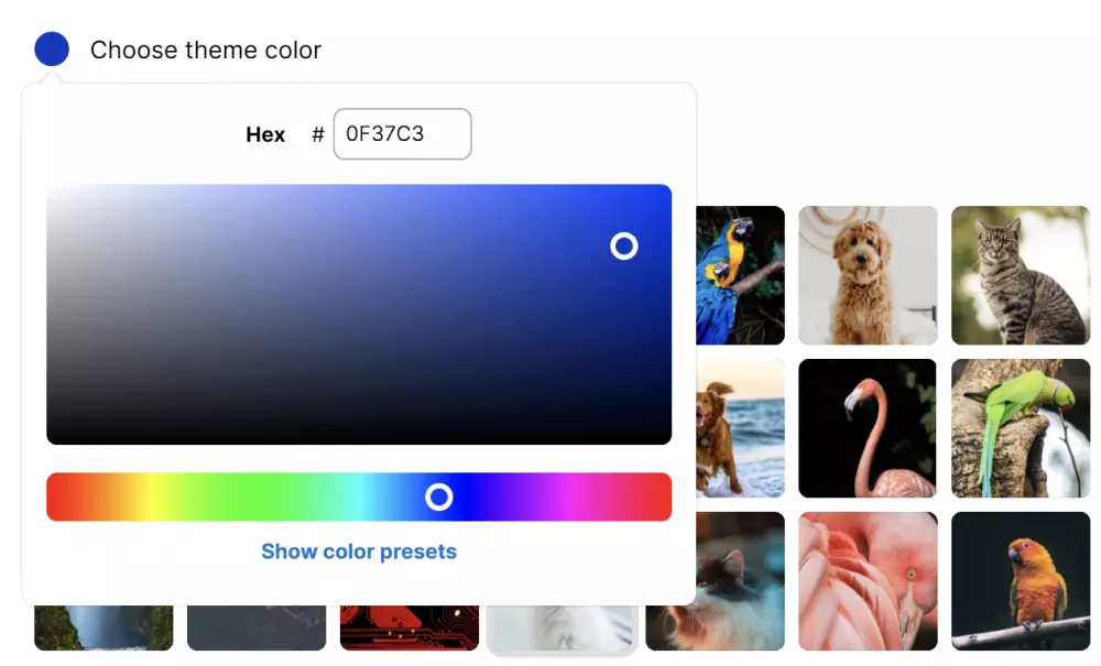 custom color picker inside mailbird desktop app