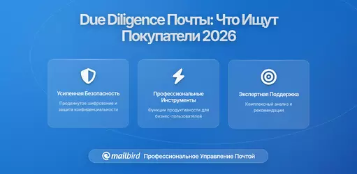 Комплексная проверка и электронные письма: что ищут покупатели в переписке компаний