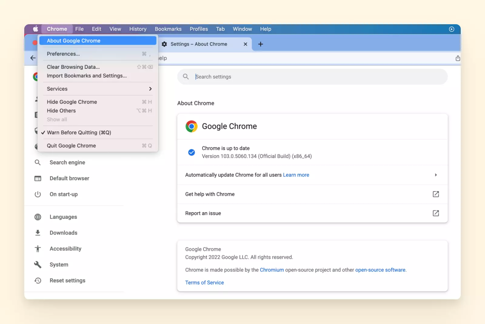 Google Chrome Update