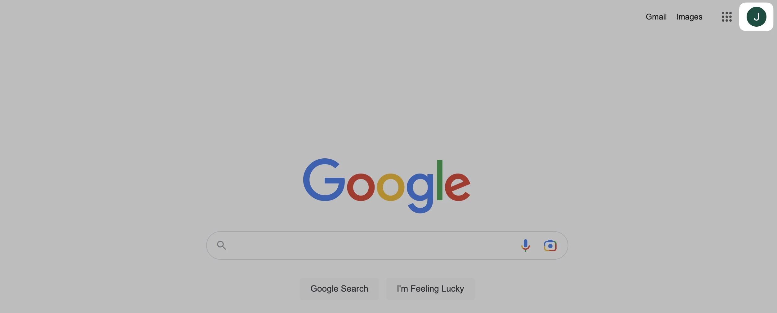 Google Search Window