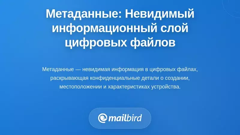 Понимание метаданных: невидимый информационный слой в каждом цифровом файле