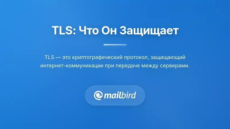 Диаграмма, показывающая шифрование TLS, защищающее электронную почту во время передачи между почтовыми серверами