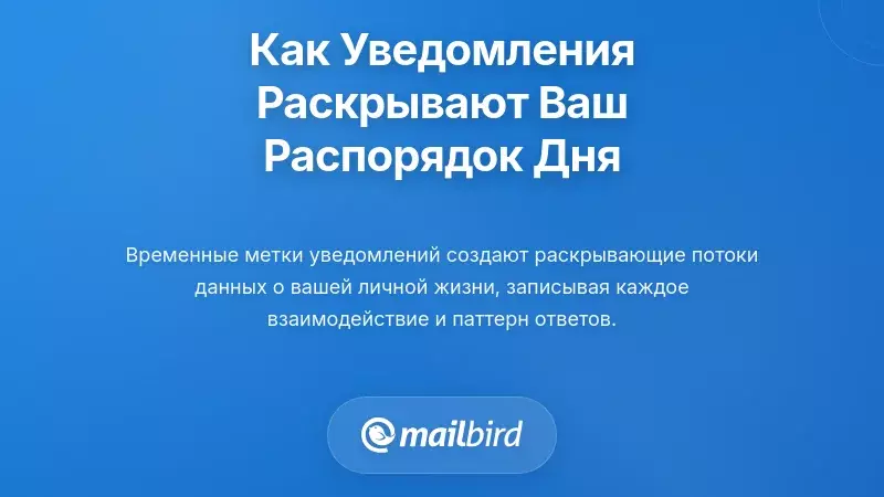 Как схемы времени уведомлений раскрывают ваш ежедневный график и личные ритмы