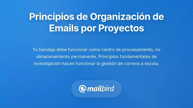 Principios Fundamentales para la Organizaci&oacute;n del Correo Electr&oacute;nico Basada en Proyectos