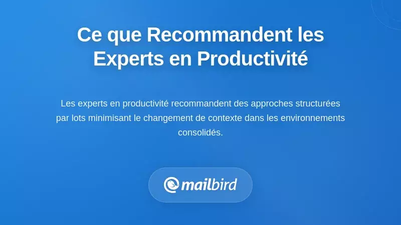 Expert en productivit&eacute; d&eacute;montrant des recommandations de flux de travail structur&eacute;s de traitement par lots des emails