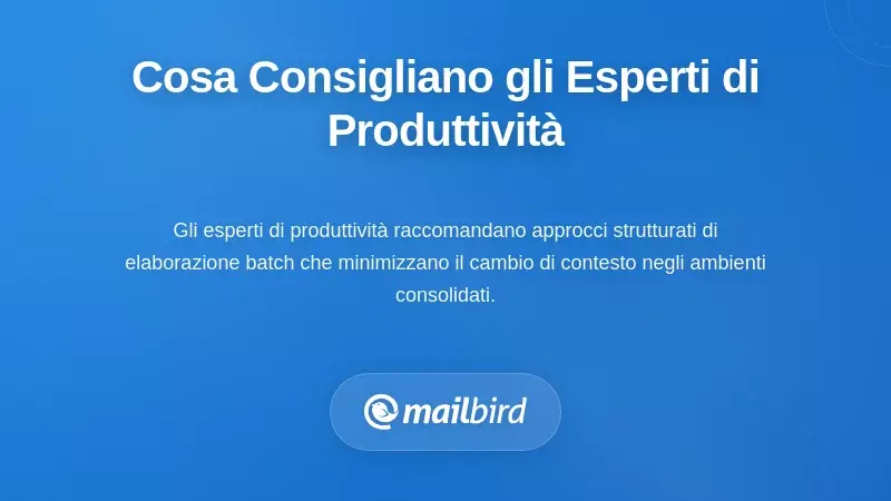 Esperto di produttività che dimostra raccomandazioni per un flusso di lavoro strutturato di elaborazione a lotti delle email