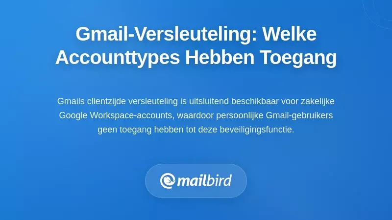 Wie Kan Toegang Krijgen Tot Gmail's Client-Side Encryptie? De Scheiding Tussen Accounttypes