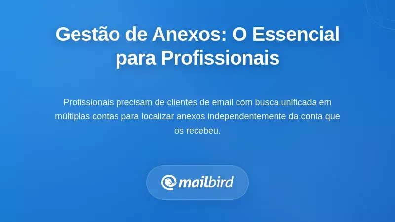 O que os Profissionais Realmente Precisam da Gest&atilde;o de Anexos de Email