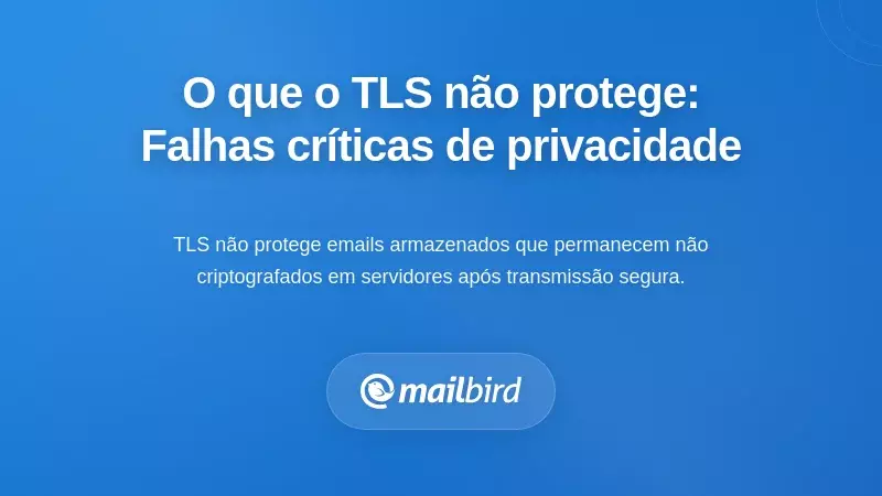 O Que o TLS N&atilde;o Pode Proteger: As Lacunas de Privacidade Que Importam