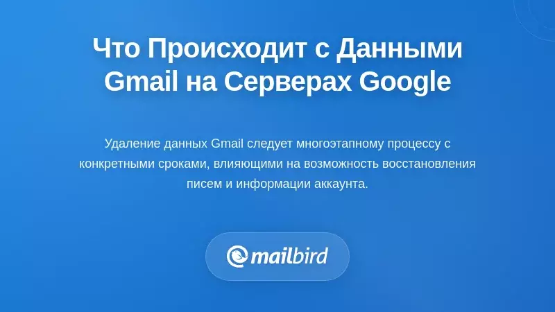 Что происходит с вашими данными Gmail на серверах Google