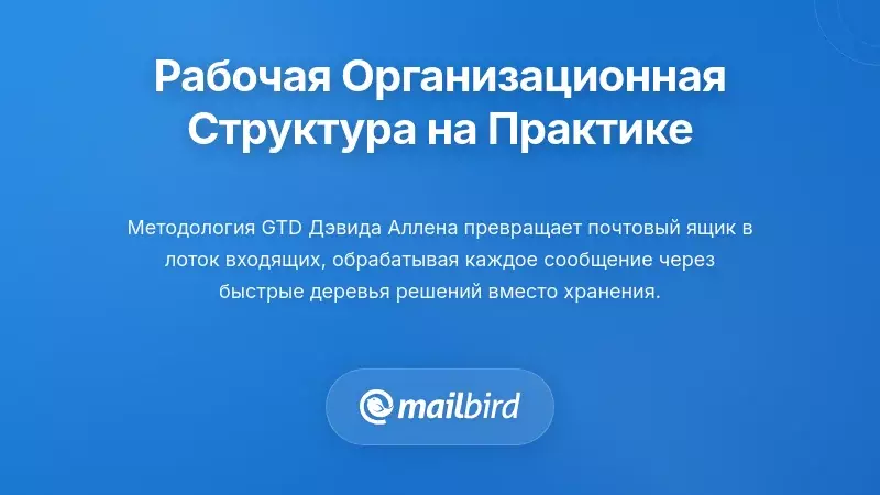 Создание базовой организационной структуры, которая действительно работает