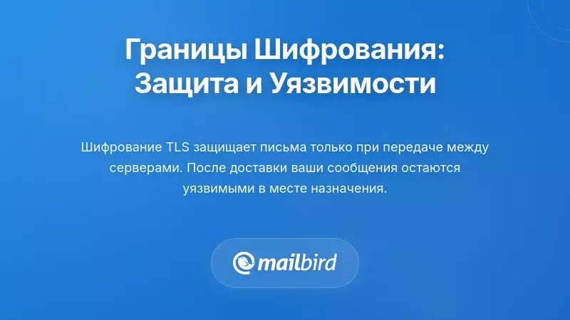 Ограниченный объем шифрования: что он защищает и что оставляет открытым