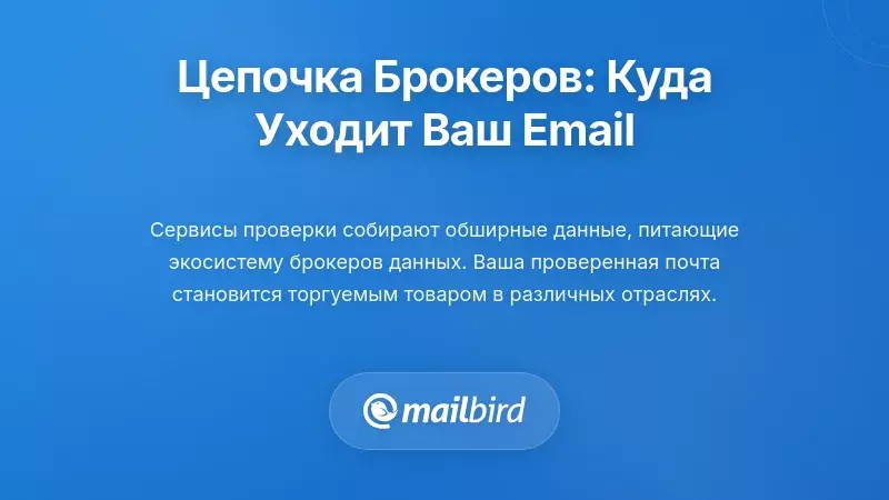 Конвейер данных брокера: куда попадает ваша проверенная электронная почта
