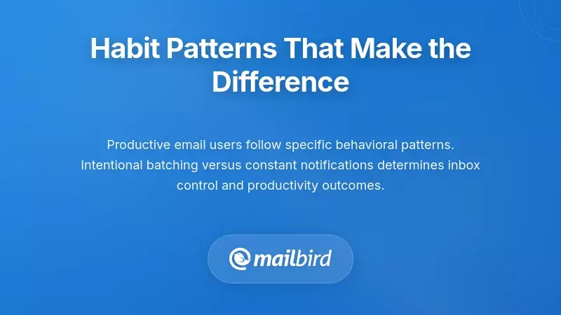 Email batch checking schedule showing 2-4 times daily method used by high performers