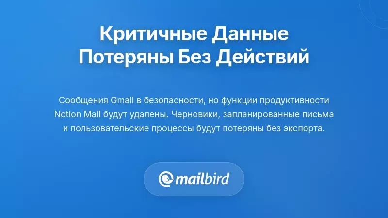 Критически важные данные Notion Mail под угрозой удаления, включая контакты и настройки