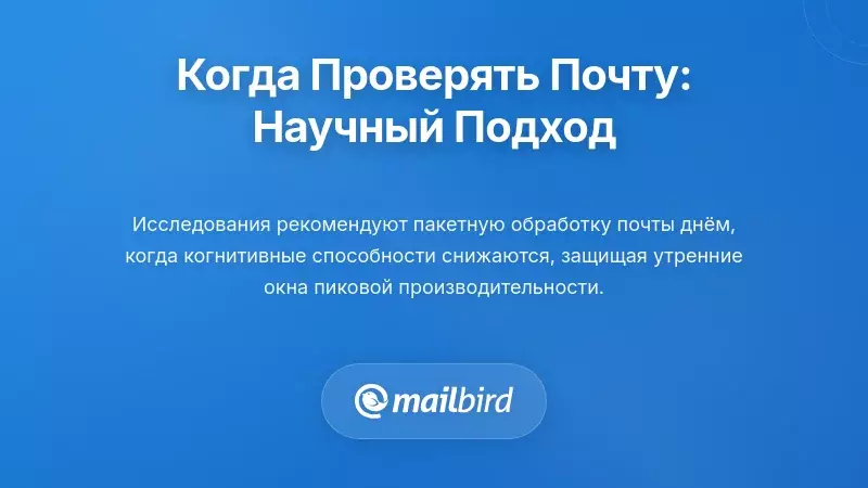 Наука о времени проверки электронной почты: Когда следует действительно проверять почту?