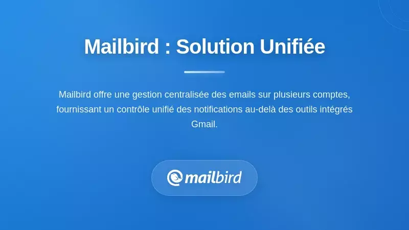 Interface de bo&icirc;te de r&eacute;ception unifi&eacute;e de Mailbird offrant un contr&ocirc;le centralis&eacute; des notifications Gmail