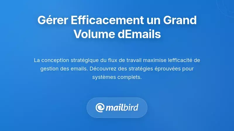 Strat&eacute;gies pratiques pour la gestion des e-mails &agrave; fort volume
