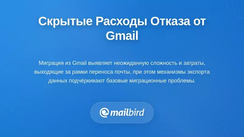 Деловой профессионал анализирует скрытые расходы при миграции с Gmail на ноутбуке
