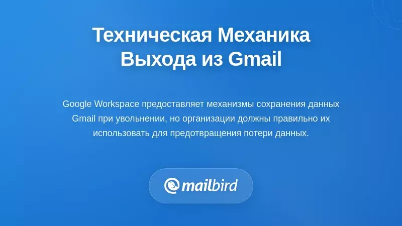 Панель администратора рабочего пространства Gmail, отображающая параметры передачи данных электронной почты и архивирования