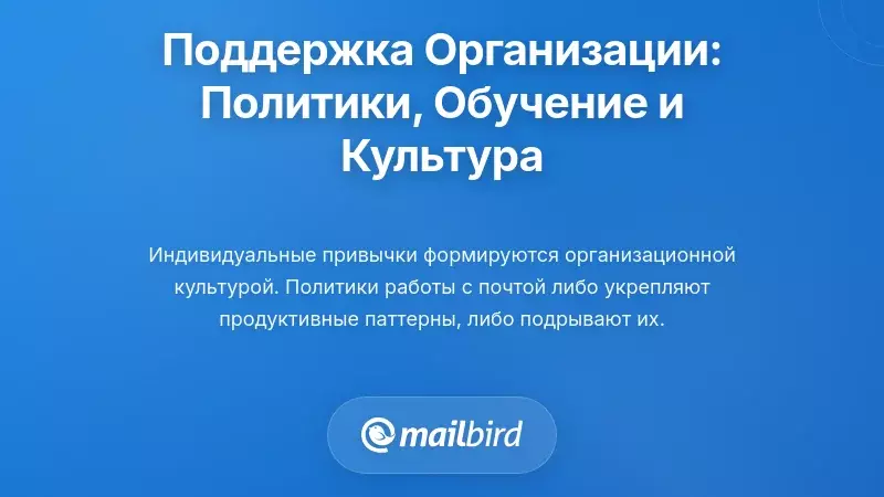 Организационная поддержка: политики, обучение и культура