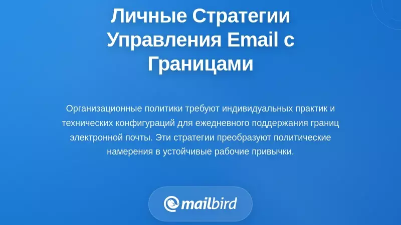 Индивидуальные стратегии управления электронной почтой в рамках границ