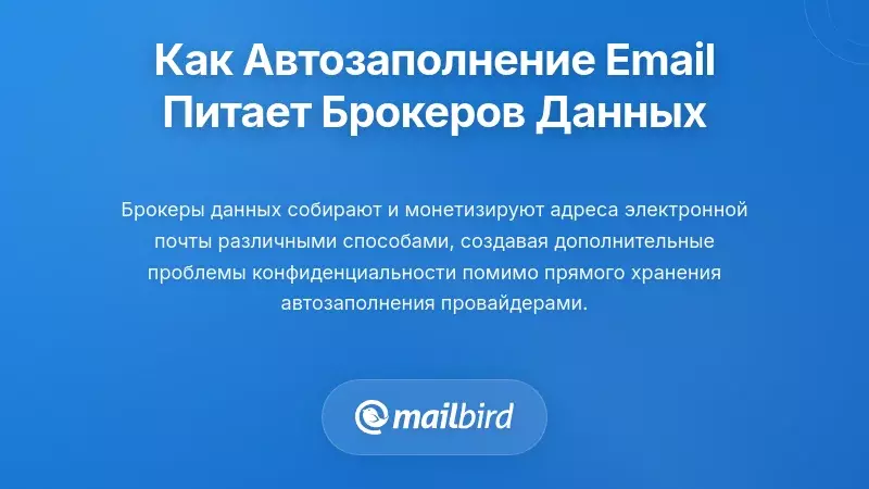 Как данные автозаполнения электронной почты подпитывают экосистему брокеров данных